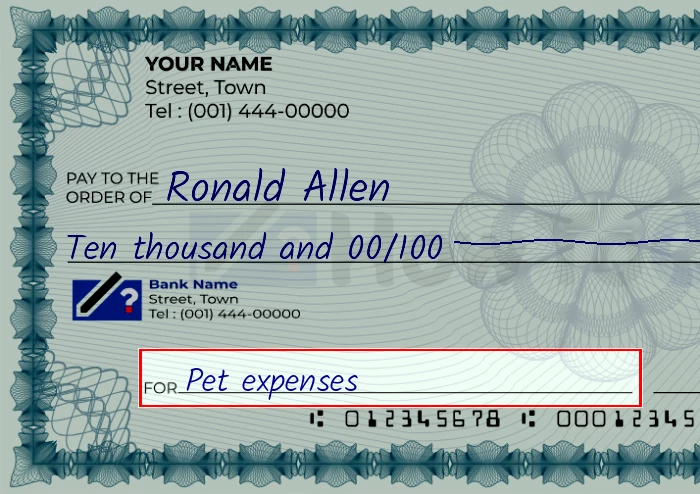 Step 5: Fill out the memo on the 10000 dollar check, showing a check with 'Pet expenses' written in the memo field