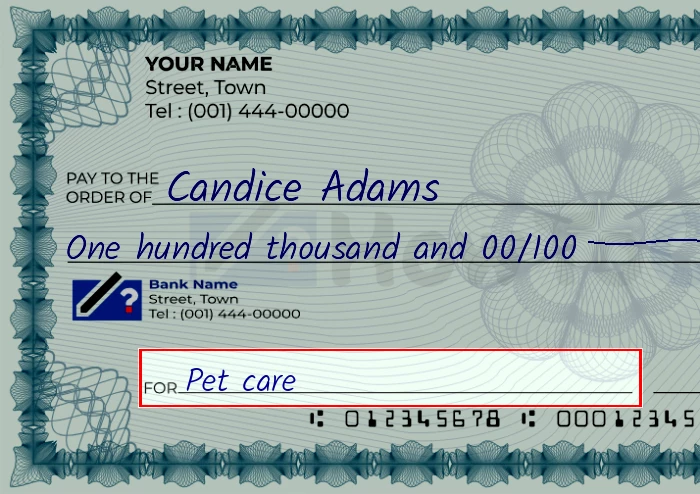 Step 5: Fill out the memo on the 100000 dollar check, showing a check with 'Pet care' written in the memo field