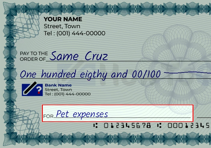 Step 5: Fill out the memo on the 180 dollar check, showing a check with 'Pet expenses' written in the memo field
