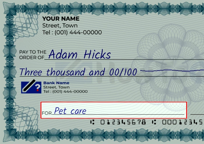Step 5: Fill out the memo on the 3000 dollar check, showing a check with 'Pet care' written in the memo field