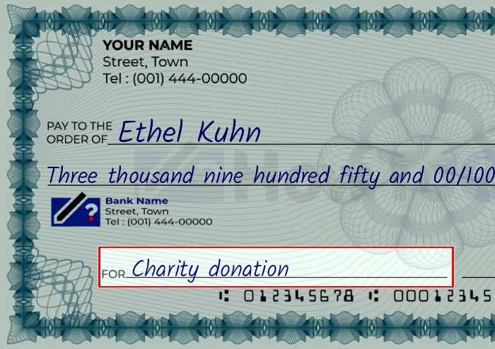 Step 5: Fill out the memo on the 3950 dollar check, showing a check with 'Charity donation' written in the memo field