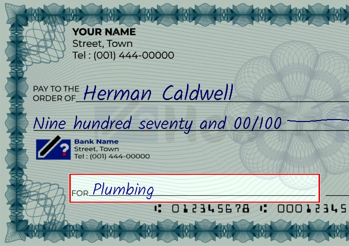 Step 5: Fill out the memo on the 970 dollar check, showing a check with 'Plumbing' written in the memo field