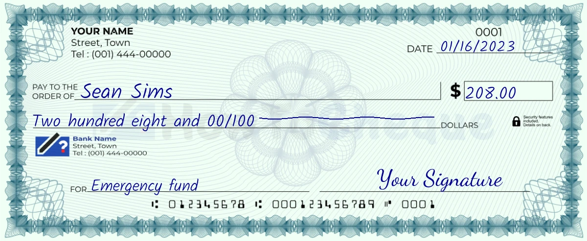 Example check of 208 dollar