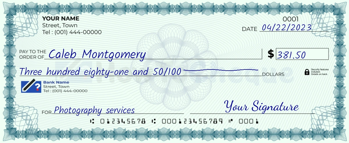 Example check of 381 dollar 50 cent