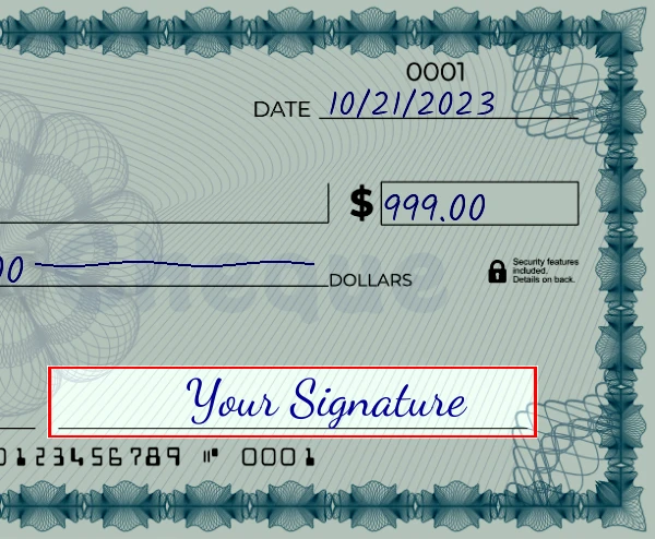 Step 6: Sign the 999 dollar check, showing a check with a sample signature in the signature field