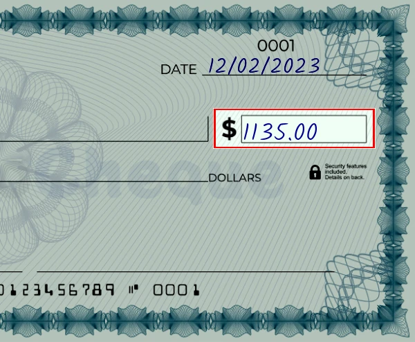 Step 3: Write the amount on the 1135 dollar check, showing a check with '1135.00' written in the amount field
