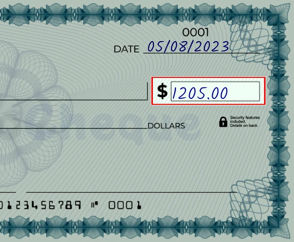 Step 3: Write the amount on the 1205 dollar check, showing a check with '1205.00' written in the amount field