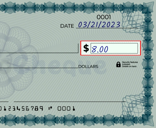 Step 3: Write the amount on the 8 dollar check, showing a check with '8.00' written in the amount field