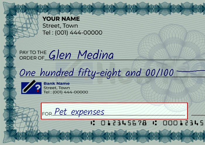 Step 5: Fill out the memo on the 158 dollar check, showing a check with 'Pet expenses' written in the memo field
