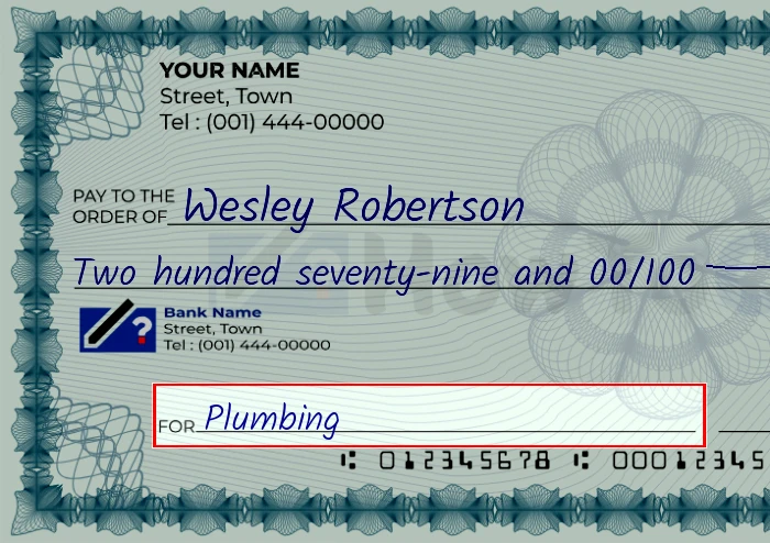 Step 5: Fill out the memo on the 279 dollar check, showing a check with 'Plumbing' written in the memo field