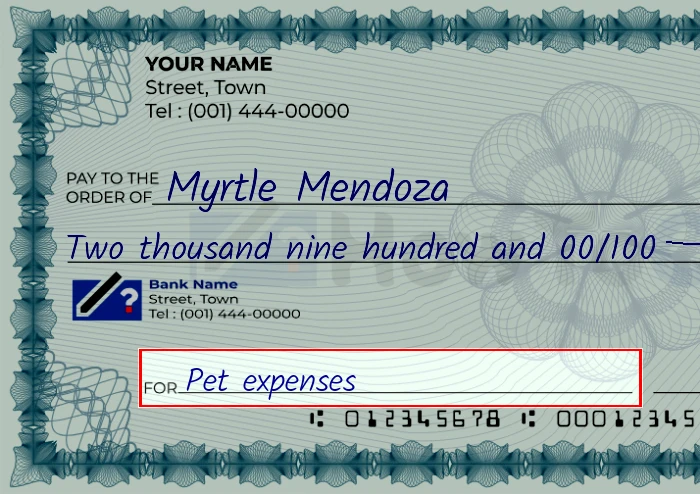 Step 5: Fill out the memo on the 2900 dollar check, showing a check with 'Pet expenses' written in the memo field