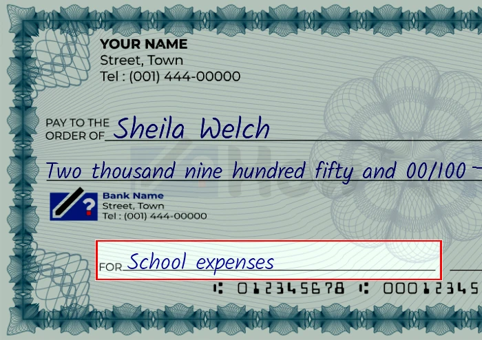 Step 5: Fill out the memo on the 2950 dollar check, showing a check with 'School expenses' written in the memo field