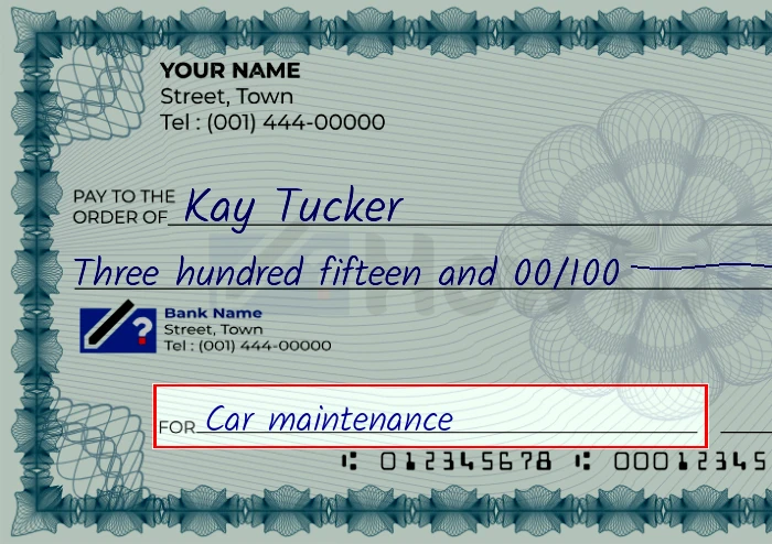Step 5: Fill out the memo on the 315 dollar check, showing a check with 'Car maintenance' written in the memo field