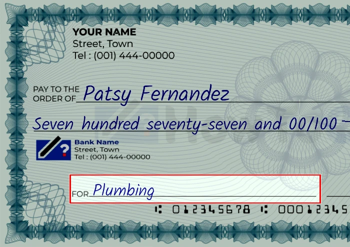 Step 5: Fill out the memo on the 777 dollar check, showing a check with 'Plumbing' written in the memo field