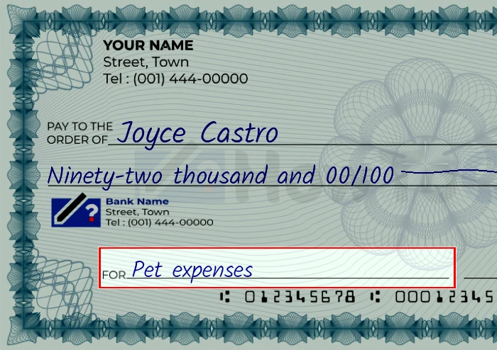 Step 5: Fill out the memo on the 92000 dollar check, showing a check with 'Pet expenses' written in the memo field